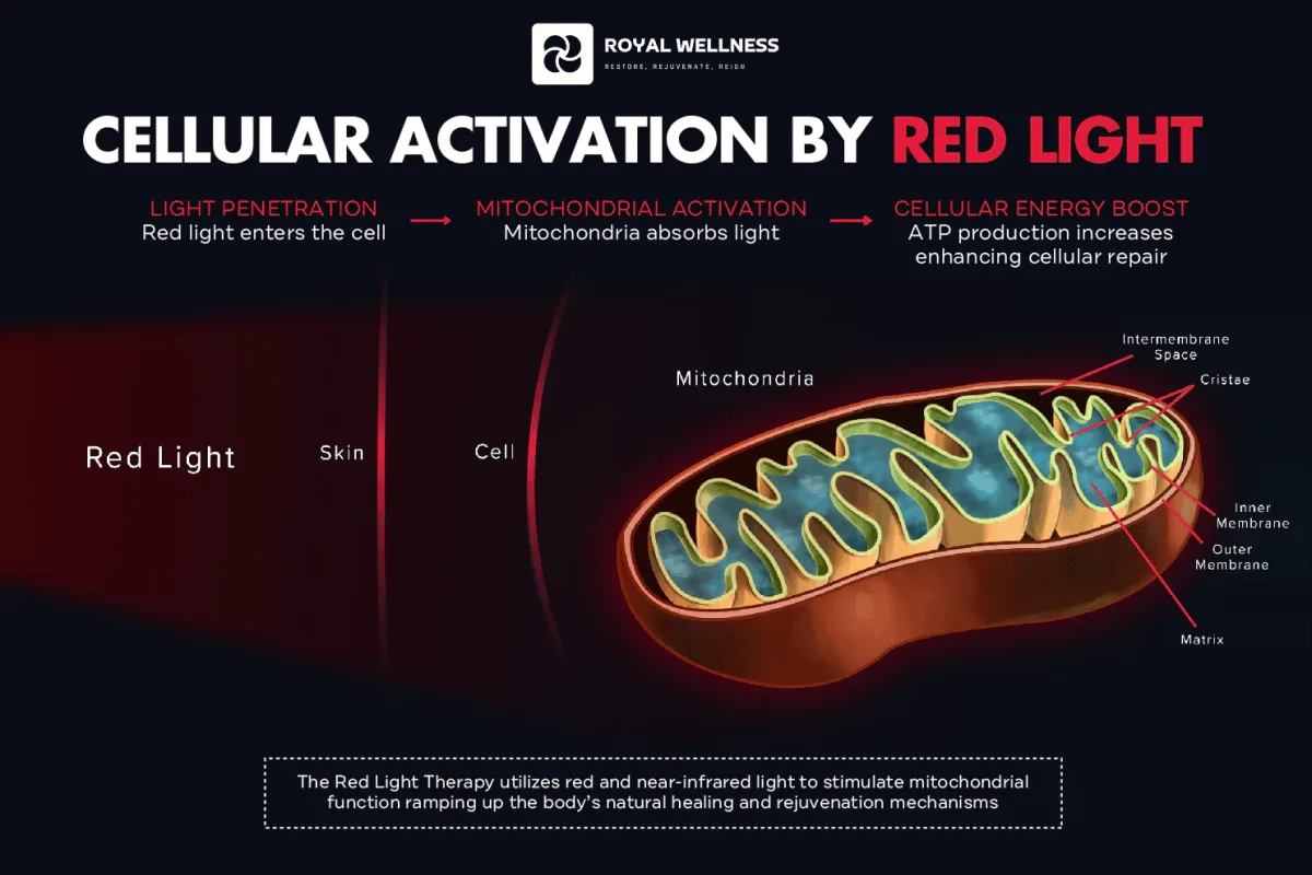 Why 850 nm penetrates deeper than visible red light